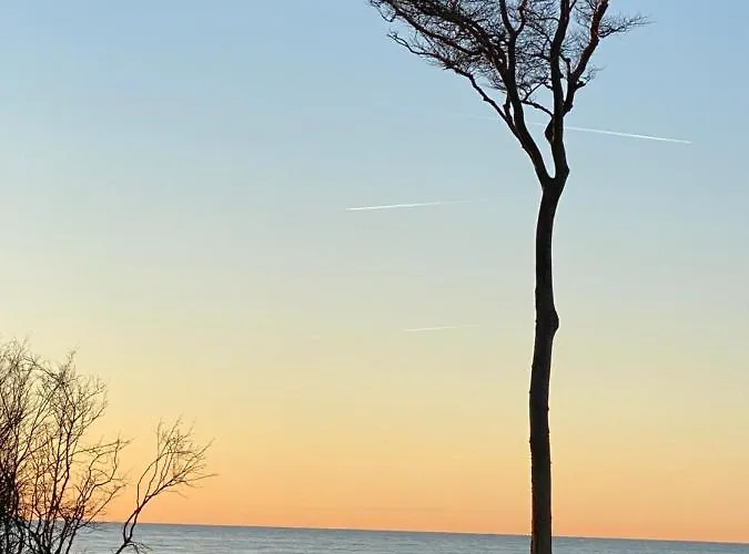 Casa Manfredi 프레로