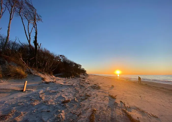 Casa Manfredi 펜션 프레로